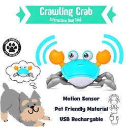 Crawling Crab - Interactive Toy for Pups