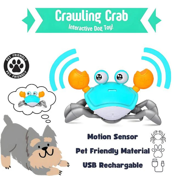 Crawling Crab - Interactive Toy for Pups