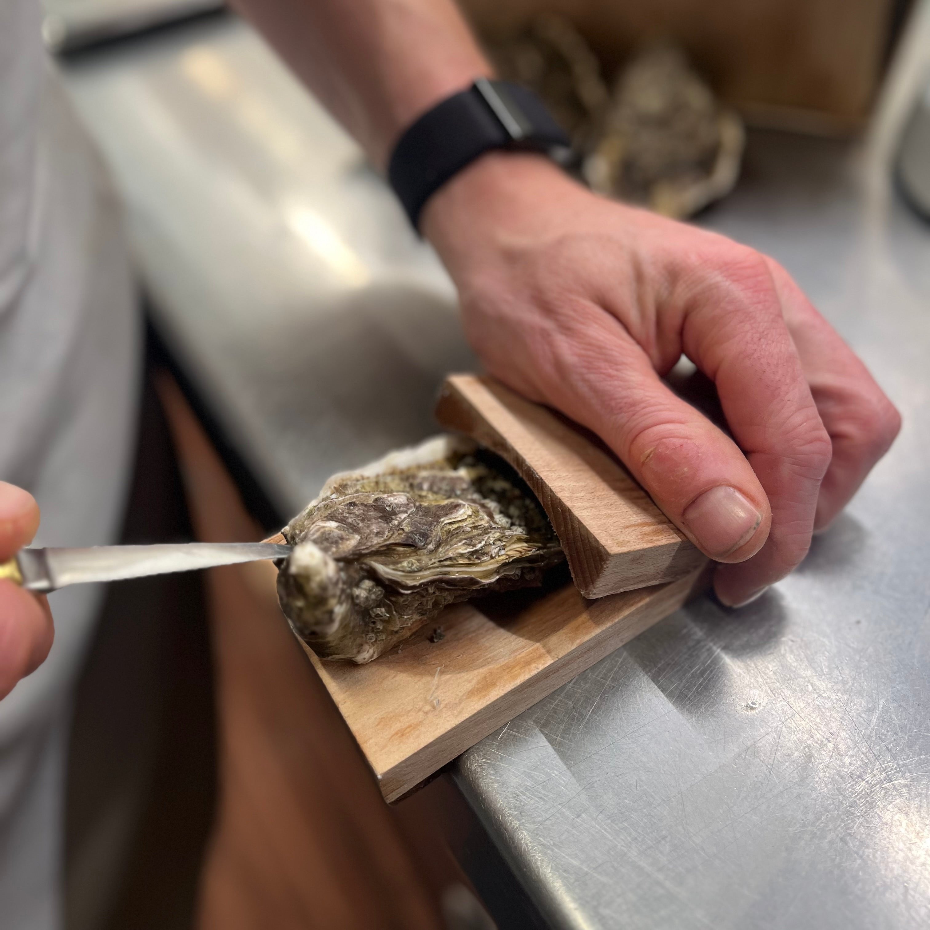 OysterEase™ - Oyster clamp 2.0