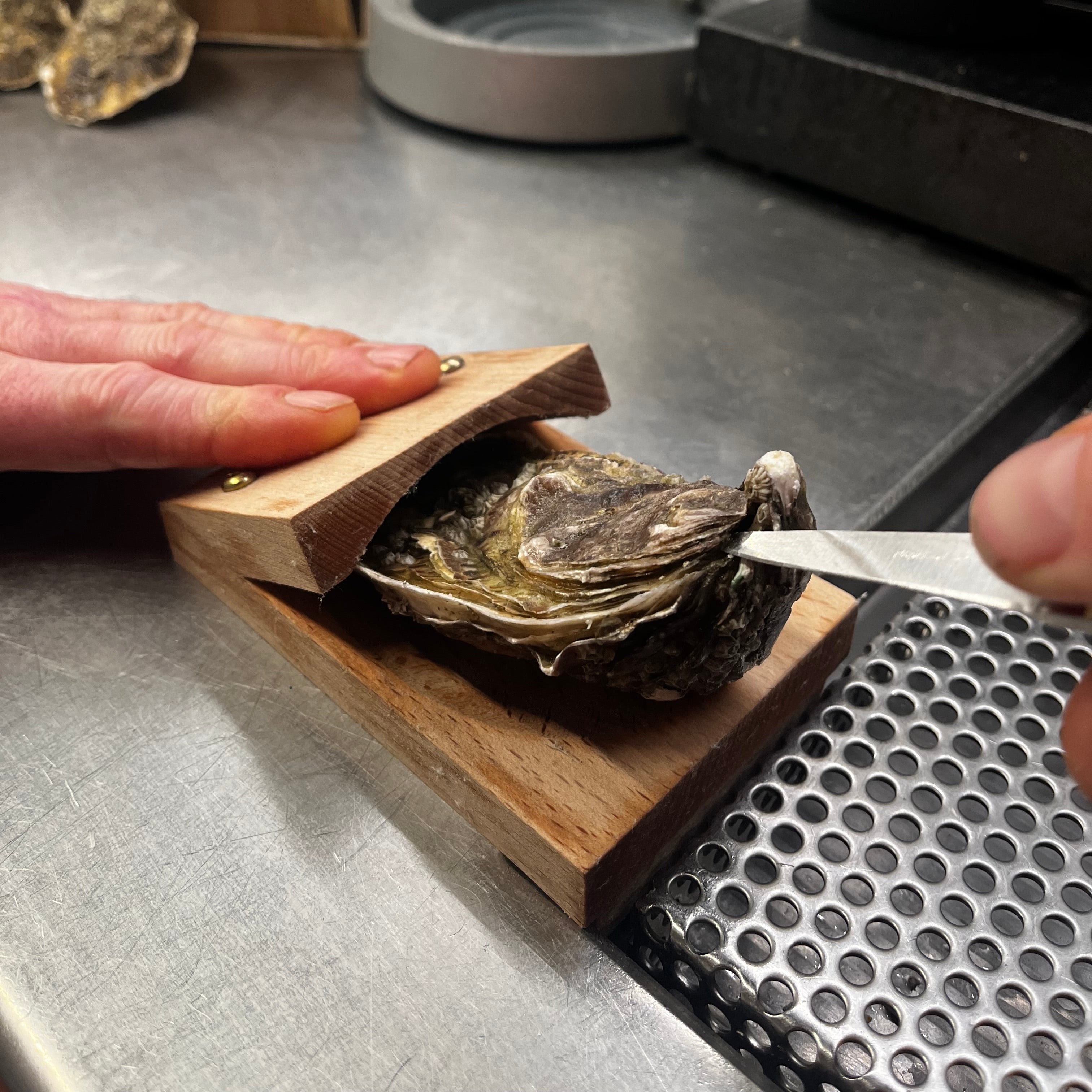 OysterEase™ - Oyster clamp 2.0