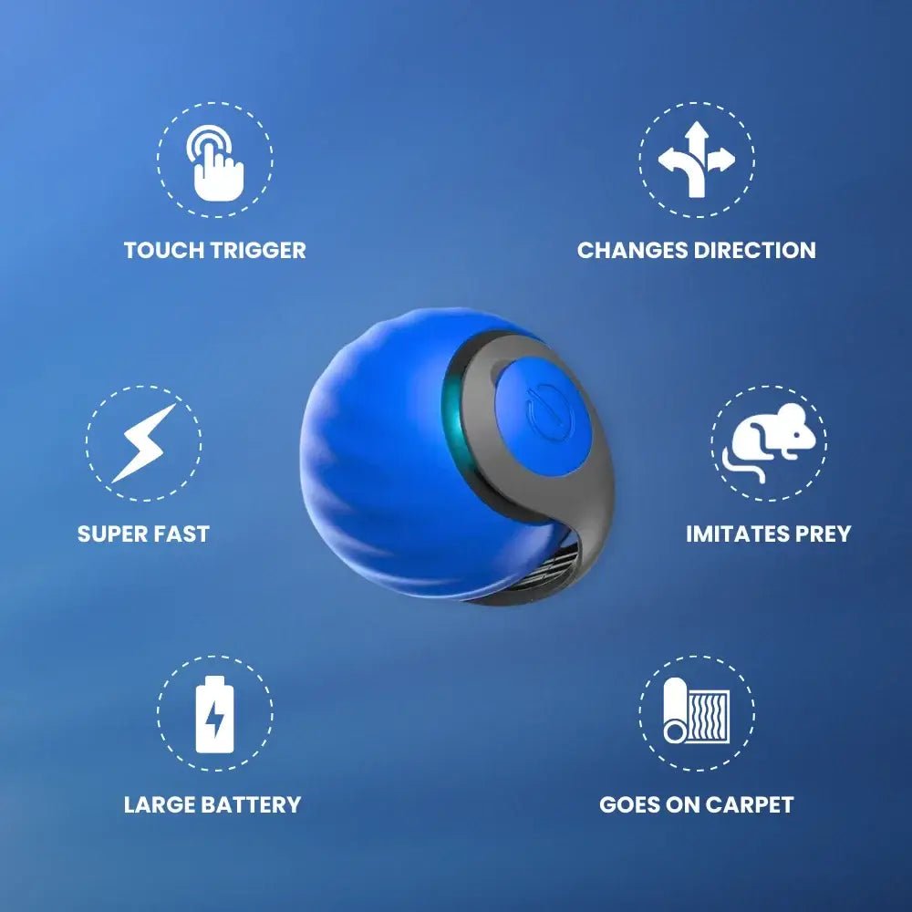 SpeedyTail 2.0™ - Smart Cat Toy (3PCS)